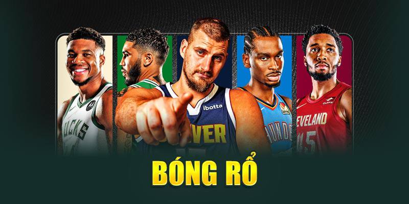 tong-quan-bong-ro