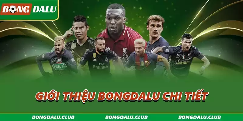 gioi-thieu-bongdalu-chi-tiet
