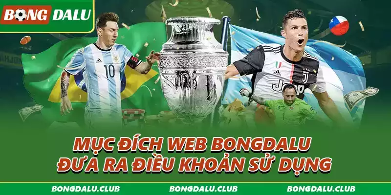 muc-dich-dieu-khoan-dich-vu-bongdalu