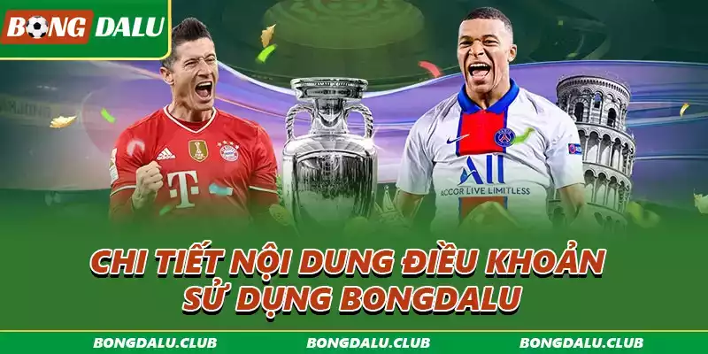 noi-dung-dieu-khoan-dich-vu-bongdalu