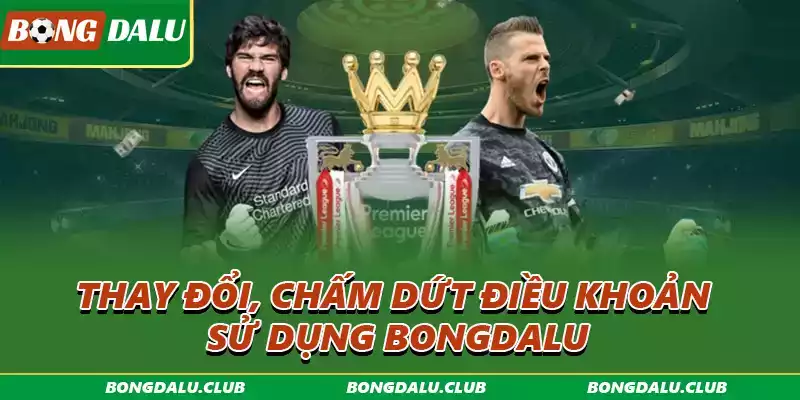 thay-doi-dieu-khoan-dich-vu-bongdalu