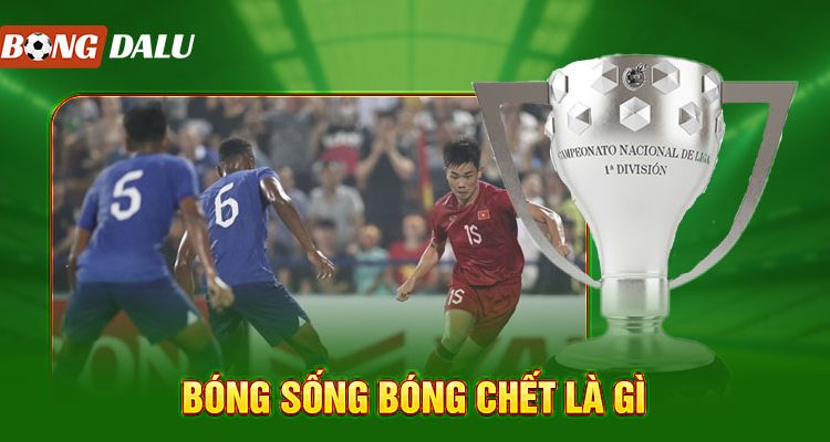 óng sống bóng chết là gì