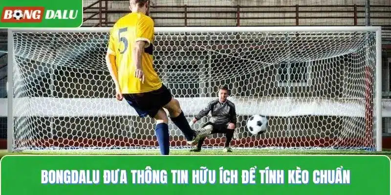 BongDaLu đưa thông tin hữu ích để tính kèo chuẩn
