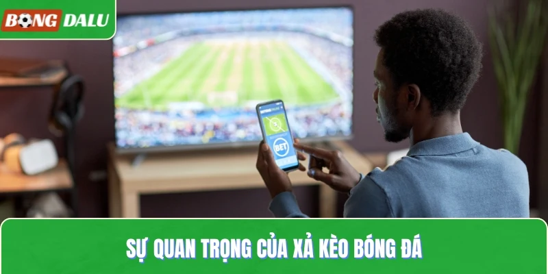 Sự quan trọng của xả kèo bóng đá