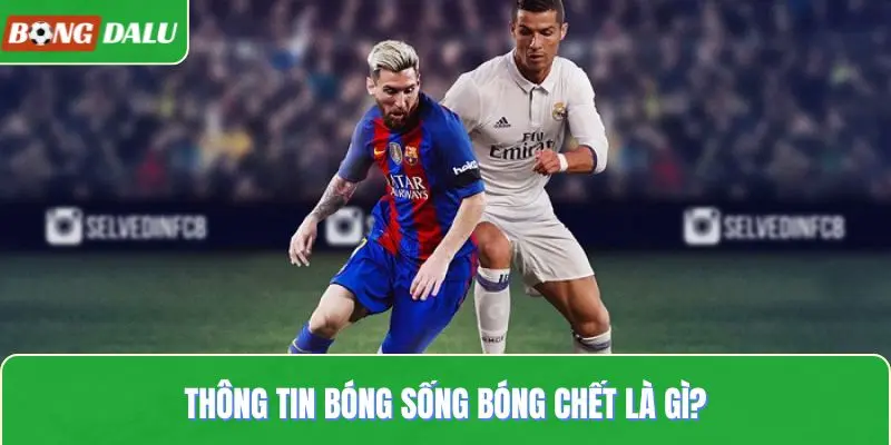 Thông tin bóng sống bóng chết là gì?
