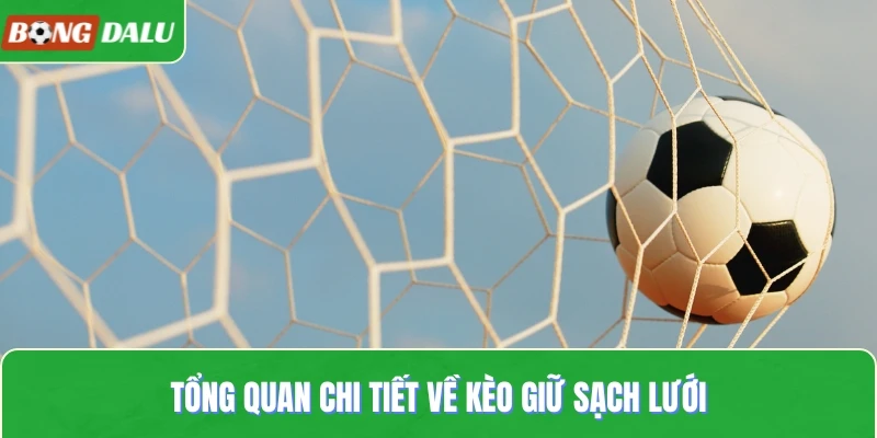 Tổng quan chi tiết về kèo giữ sạch lưới