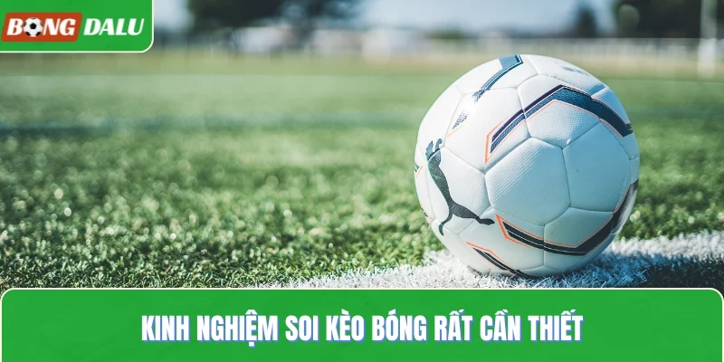 Kinh nghiệm soi kèo bóng rất cần thiết