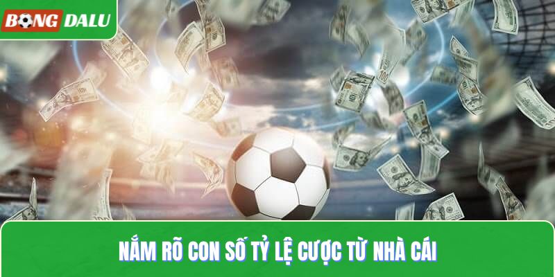Nắm rõ con số tỷ lệ cược từ nhà cái