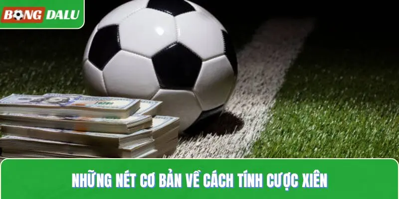 Những nét cơ bản về cách tính cược xiên