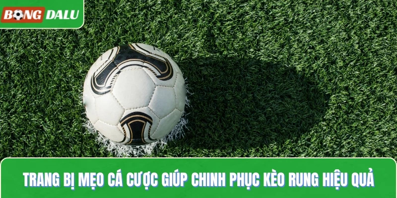 Trang bị mẹo cá cược giúp chinh phục kèo rung hiệu quả