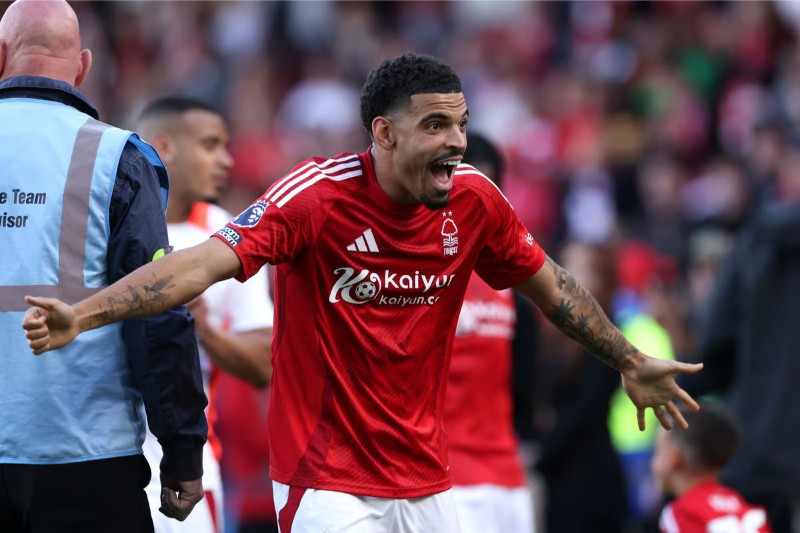 Gibbs-White khoác áo Tottenham mùa tới