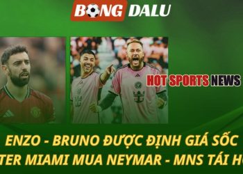Enzo và Bruno được định giá sốc