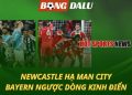 Newcastle hạ Man City